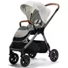 cumpără Сărucior pentru copii Joie S1606AAOYS000 Finiti Signature Oyster în Chișinău 