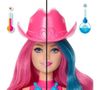 купить Кукла Mattel JCP01 Кукла Barbie в Кишинёве 