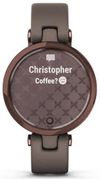 cumpără Ceas inteligent Garmin Lily™ Dark Bronze Bezel Paloma Case Italian Leather în Chișinău 