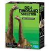 cumpără Set de creație 4M 00-03237 Brachiosaurus Skeleton în Chișinău 