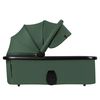 купить Детская коляска Lionelo Carucior 2in1 Layla Green Forest в Кишинёве 