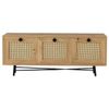 купить Тумба напольная для TV Trendy Alcazar-140, 140x60x40cm (GTR000252) в Кишинёве 
