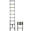 купить Лестница miscellaneous 26322 telescopic 2.6m (6.3 kg) в Кишинёве 