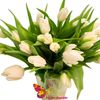 Белые голландские  тюльпаны поштучно