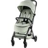 купить Детская коляска Britax-Römer Flylite Style Sage Green (2000041984) в Кишинёве 