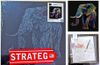 cumpără Tablou pe numere Strateg 57215 Elefant colorat 40x40cm (fundal negru) în Chișinău 