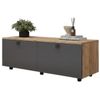 купить Тумба напольная для TV Mobildor-Lux ZEN (120x35x38H cm) Sonoma/Anthracite в Кишинёве 