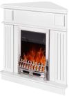 купить Камин электрический ArtFlame Marina de colt white & Gala silver в Кишинёве 