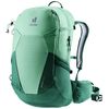 купить Туристический рюкзак Deuter Futura 25 SL spearmint-seagreen в Кишинёве 