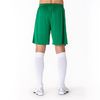 купить Одежда для спорта Joma Short Nobel Green (6XS-5XS) 100053.450 в Кишинёве 