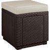 купить Стул Keter Cube With Cushion Brown/Oat (258810) в Кишинёве 