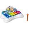 купить Музыкальная игрушка Chicco 981910 Flashy the Xylophone INTL в Кишинёве 