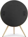 cumpără Boxe Hi-Fi Bang & Olufsen Beosound A9 5th Gen Gold Tone în Chișinău 