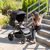 cumpără Сărucior pentru copii Coletto Carucior Dizzi Khaki în Chișinău 