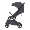 купить Детская коляска Espiro Just 10 Black Pepper в Кишинёве 