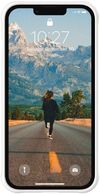 купить Чехол для смартфона UAG 11317V313535, Apple iPhone 13 Dot- Marshmallow в Кишинёве 