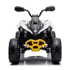 купить Электромобиль Golden Baby DK-CA002 ATV Can Am Marverick,alb, GB2283 в Кишинёве 