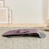 cumpără Leagăn pentru bebeluși BabyBjorn 006034A Bliss Dark Purple, Bumbac în Chișinău 