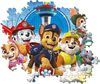 cumpără Puzzle Clementoni Puzzle 180 Paw Patrol (29780) în Chișinău 