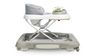 купить Ходунок Toyz 20767 Timon Graphite в Кишинёве 