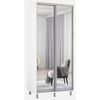 купить Шкаф Mobildor-Lux Раздвижные зеркальные двери Aron-P (110x60x200H см) Бриллиантовый белый в Кишинёве 