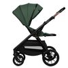 купить Детская коляска Lionelo Carucior 2in1 Layla Green Forest в Кишинёве 