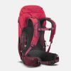 купить Рюкзак для путешествий Quechua MH500 20л, Красный в Кишинёве 