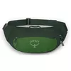 купить Поясная сумка Osprey Daylite Waist green belt/green canopy hip (843820184372) в Кишинёве 