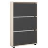 cumpără Raft pentru încălțăminte Mobildor-Lux Leo Slim 60x16x125H cm Sonoma/Anthracite în Chișinău 