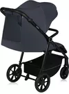 купить Детская коляска Lionelo Iva Grey Graphite в Кишинёве 