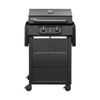 cumpără Grătar Enders Electric eCrave 2 PV (97116) în Chișinău 