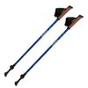 cumpără Bete nordic walking Tramp Flash, TRR-010 în Chișinău 