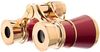 cumpără Binoclu Levenhuk Broadway 325B Red Opera Glasses în Chișinău 