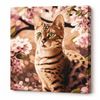 cumpără Tablou pe numere Ideyka KHO6513 40x40cm Eco, Motanas in gradina în Chișinău 