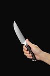 купить Нож Takumi Seikō Steak Knife (TK-B13S-NP) в Кишинёве 