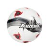 купить Мяч Toi-Toys 62223Z Minge de fotbal №5 Adrenix , 4 modele в Кишинёве 