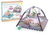 купить Коврик игровой 4Play Activity Gym Chocolate (FC042) в Кишинёве 