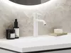 cumpără Baterie lavoar Ravak Baterie lavoar Espirit 190mm white matt ES 012.10WV (X070236) în Chișinău 