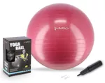 Мяч HMS 4824 Minge gimnastica d=65cm cu pompa Plum YB01 (17-42-162)