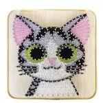 Набор для творчества miscellaneous DHBB28029 Set String Art 20x20 Pisicuta gri