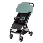 Сărucior pentru copii Graco Myavo Mint