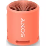 {'ro': 'Boxă portativă Bluetooth Sony SRSXB13P', 'ru': 'Колонка портативная Bluetooth Sony SRSXB13P'}