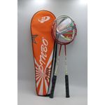 Palete badminton cu husa (2 buc.) 2011-227 (8872)