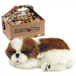 Jucărie de pluș Perfect Petzzz 91-19 Cățeluș Shih Tzu cu imitație de respirație