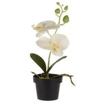 Decor Holland 48363 NVT Цветок искусственный Орхидея 25cm в горшке