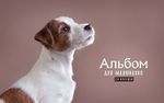 Альбом для рисования 20 л 120 гр