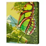 Картина по номерам Art Gallery CX3549 20x30cm Fluture minunat