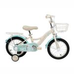 Bicicletă miscellaneous TN-B06 14