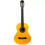 Гитара Fiesta Aria 3/4 FST-200-58 Natural + husa