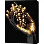 Картина по номерам BrushMe BSB0003FC 40x50cm (pânză neagră/fără cutie) Pensulă de aur